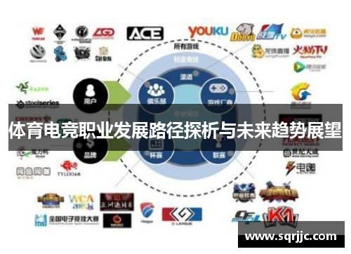 体育电竞职业发展路径探析与未来趋势展望