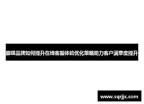 脚蹼品牌如何提升在线客服体验优化策略助力客户满意度提升