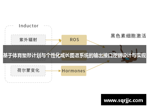 基于体育塑形计划与个性化成长图谱系统的输出接口逻辑设计与实现