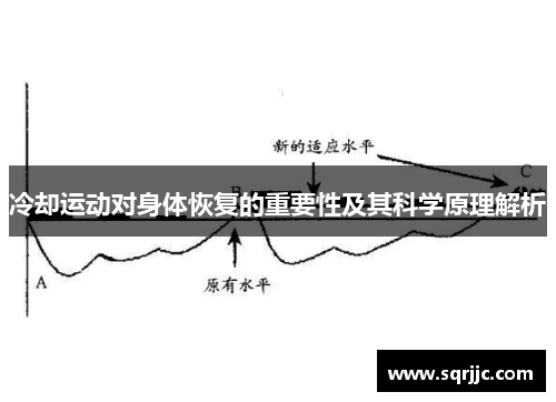 冷却运动对身体恢复的重要性及其科学原理解析