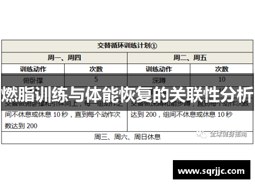 燃脂训练与体能恢复的关联性分析
